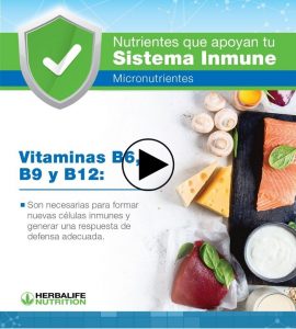 sistema inmune