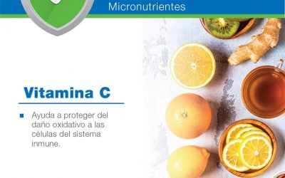 4 consejos para estimular tu sistema inmunológico a través de la nutrición