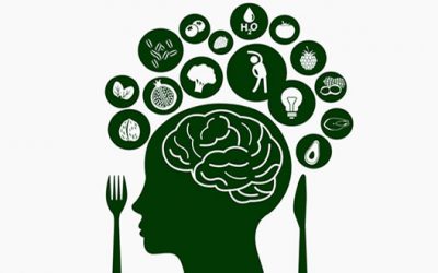 6 alimentos ricos en nutrientes para una mejor salud cerebral