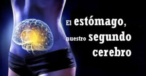 El segundo cerebro del cuerpo