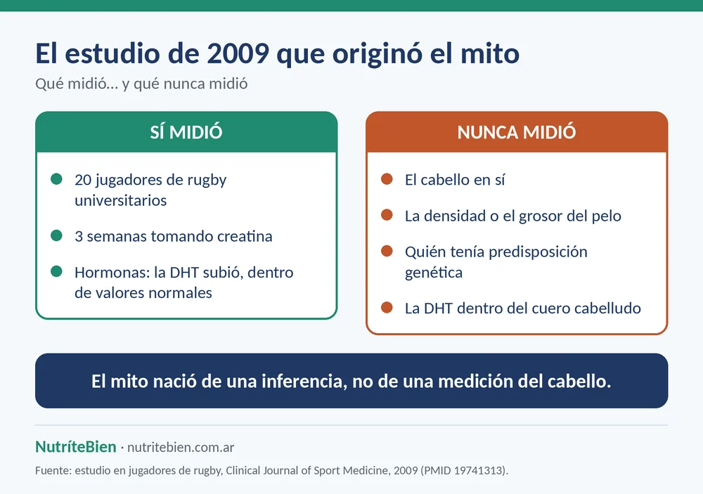 Cinco claves si te preocupa la caída del pelo al tomar creatina